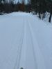 Ski Trail