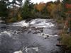 Bog Falls
