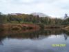 Moose River