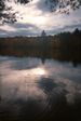 Ripples in Water