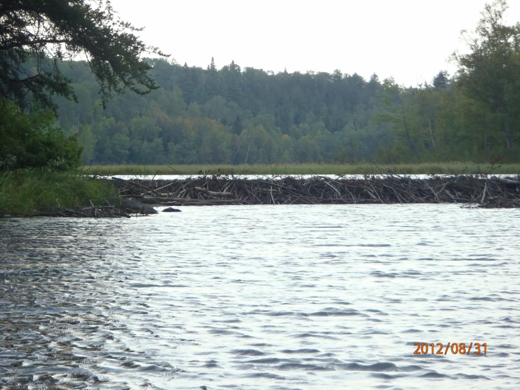 Beaver Dam