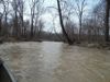 Greenville Creek